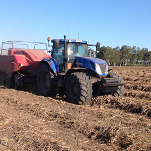 Call Nathan for sugar cane mulch bales