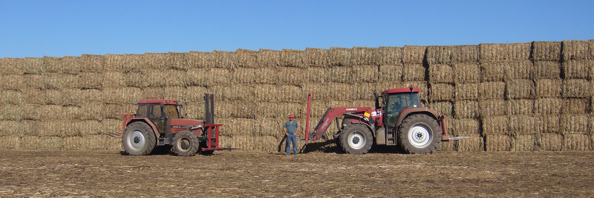 Sugar Cane Mulch Hervey Bay